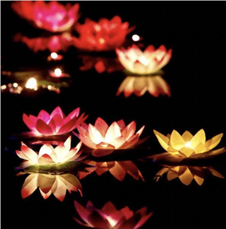 Floating Lotus LED Candles ( with water sensor) - WestNest.in